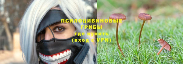 твердый Балахна