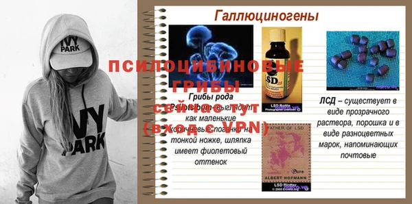 твердый Балахна