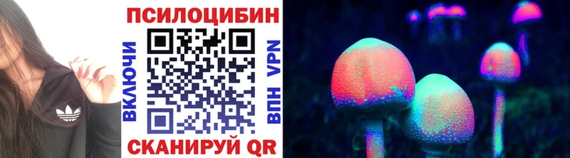 Псилоцибиновые грибы Cubensis  Красноуфимск 
